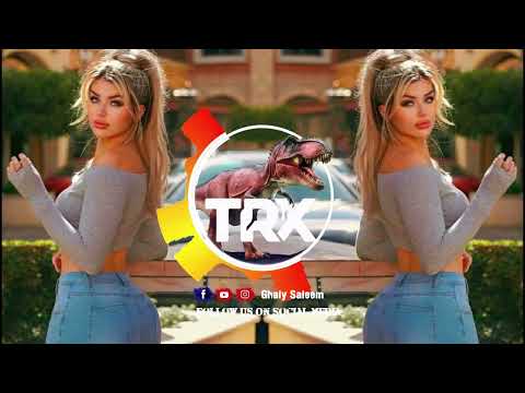 Furkan Sert, YRYS, Mr. Gun - Lose My Mind Arabic Remix Style Prod Ghaly Saleem || TRX Remix