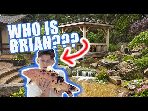 The Story Behind Brian's DREAM Pond