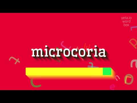 HOW TO SAY MICROCORIA? #microcoria