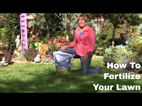 , title : 'How To Fertilize Your Lawn'