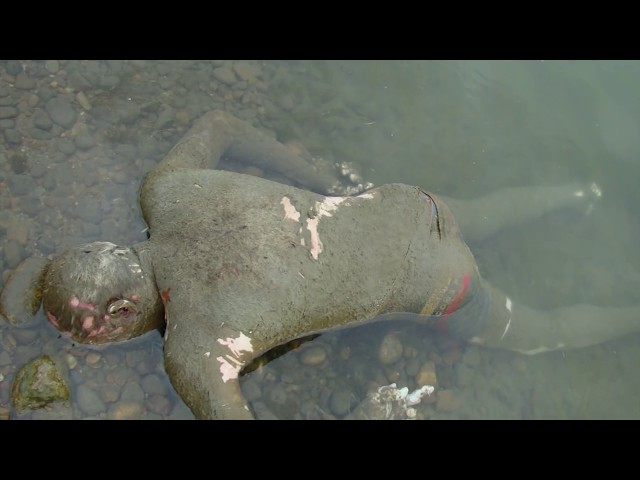 В воде обнаружено тело человека