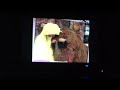 Closing To Sesame Street Big Bird Sings VHS 1995