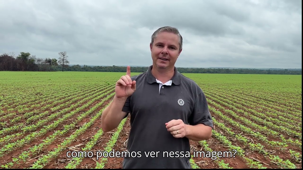 Vídeo sobre o Vigor da Semente da Soja