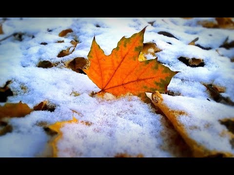 НАРОДНЫЕ ПРИМЕТЫ НА 25 НОЯБРЯ – ДЕНЬ ИОАННА МИЛОСТИВОГО