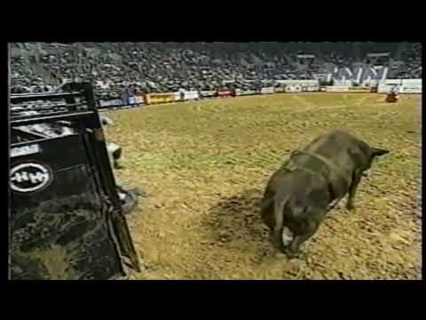 PBR 2000: Cody Hart Does a Front Flip off Freckles