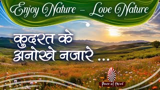 Be THANKFUL to Nature | प्रकृति माँ की पालना का दिल से करें शुक्रिया | Brahma Kumaris | प्रकृति 02