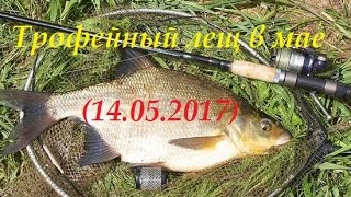Ссылка