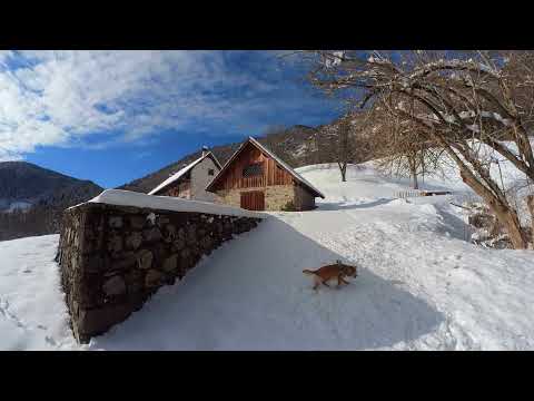 Forcella di Pani da Fresis