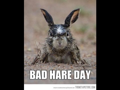 Black Hare Presents: Secret Agent Tactical Ninja Sword! Parody