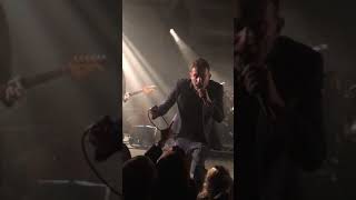 The Good The Bad and the Queen -Nature Springs at EartH, London, December 4, 2018