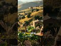 Sardinia S Secret Why Do People Live Over 100 Here Blue Zone Mystery Shorts