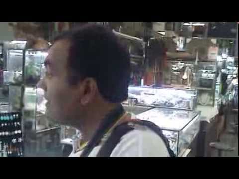 Agosto, Visita turística em Cheng Huang Miao, Xangai