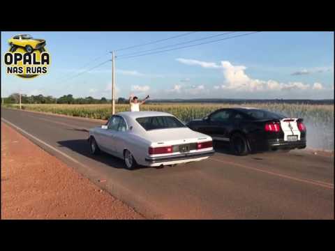 OPALA VS MUSTANG
