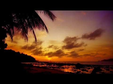 DJ Kent - WeeKent SunSets#3