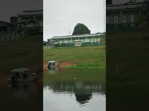 vila flor em nova Olinda do norte Amazonas