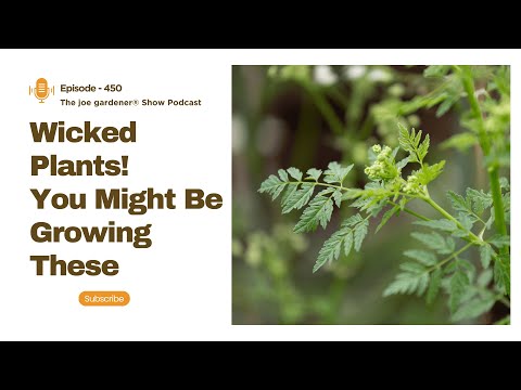 Wicked Plants: Beautiful Garden Plants That Can Kill