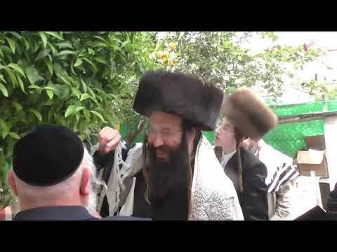 Spinka Rebbe Of Ganei Gad Making The Birkas Ha'ilonos - 5779