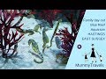 Family Day Out At Blue Reef Aquarium Hastings East Sussex