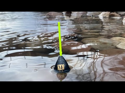 Pecanje Skobalja i Klena na hleb i crvi - RIBOLOV NA PLOVAK - Nisava