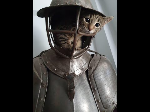 Schlund von Lorkhaj Veteran kompletter Lauf mit Lunarphase aus Tankperspektive (deutsch)