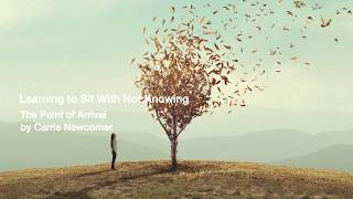 Learning To Sit With Not Knowing - By Carrie Newcomer