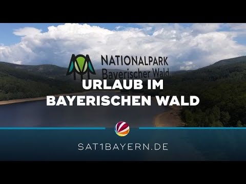Mein Bayern erleben: Urlaub im Bayerischen Wald