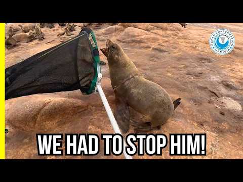 We Found Our Trash in the Wildest Place