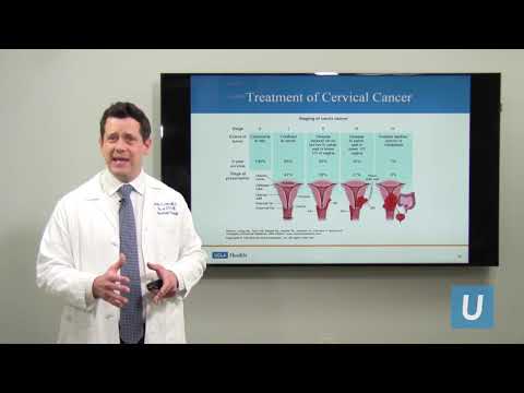 Cancer endometrial ovarian