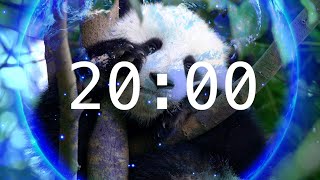 20 Minute Earth Day Timer! | Relaxing Music | Classroom Timer with Alarm | Happy Earth Day 2025