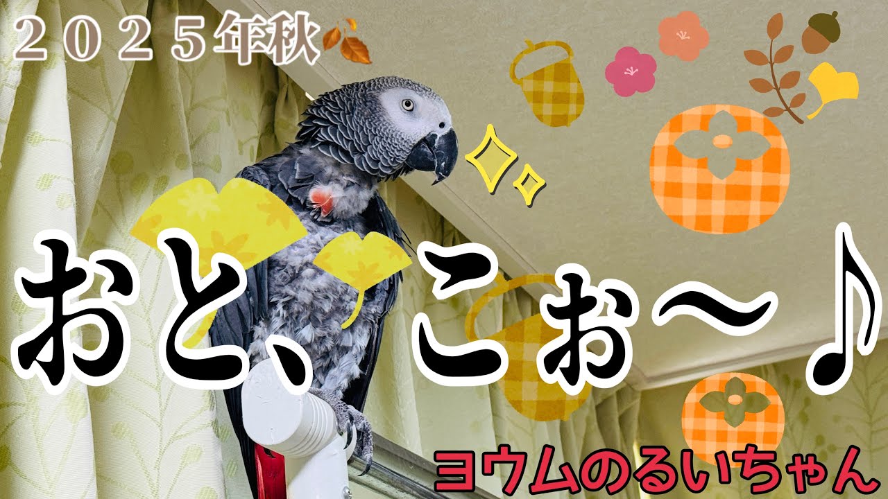 秋の「おとこぉ～♪」祭りだぼう！