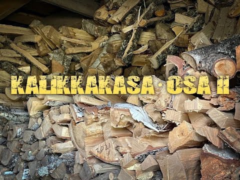 Sailing Päijänne, Tehin Pursiseuran tukikohdan kesäjuhlat osa 2 Petri Keinonen&Kalikkakasa orkesteri