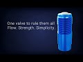 BBB CYCLING Tubeless Ventielen BTI-166 AL Valve CoreCap 2 Stuks Zwart — video 3