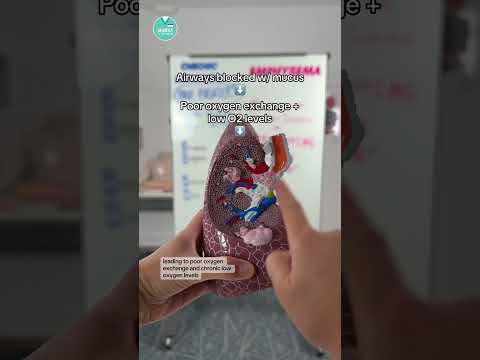 Chronic Bronchitis vs. Emphysema