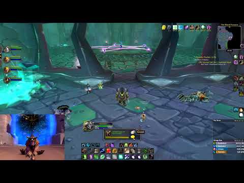 WoW TBC Classic Heroic Blood Furnace - Feral Druid
