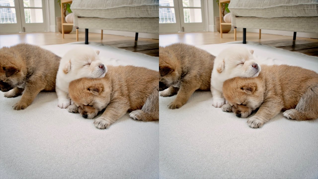 Canon RF-S 7.8mm f/4 STM Dual