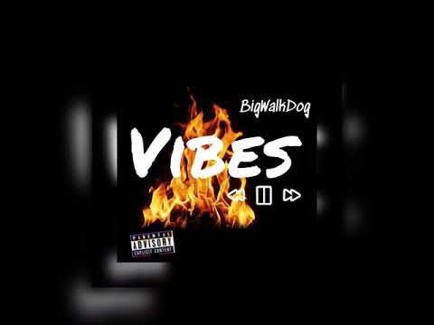 BigWalkDog - Vibes (Official Audio)