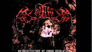 ASYLIUM - Poems of Cold