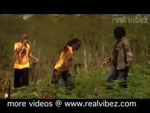 Flyin' High - Stack$ feat. Jah Cure