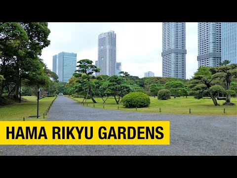 A Contemplative Walk at Tokyo's Hama Rikyu Gardens