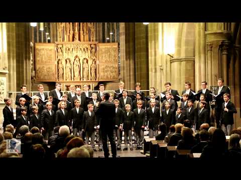 Knabenchor Hannover | "Innsbruck, ich muss dich lassen" (Isaac) & "Nun ruhen alle Wälder" (Bach)