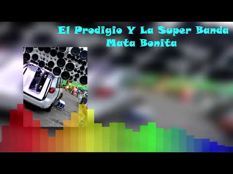 El Prodigio Y La Super Banda -Mata Bonita   #TEAM Musicologos