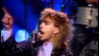 Cheap Trick - Ain't That A Shame - "World Music Festival"