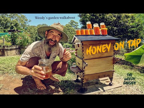 HONEY ON TAP: Harvesting Liquid Gold from the Flow Hive