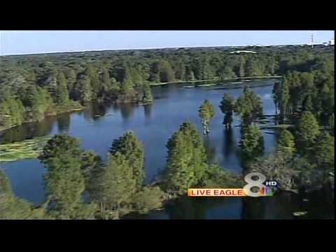 Hillsborough County Hover