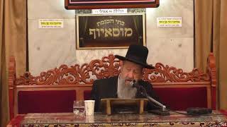 דינים הלכות ומנהגים לליל הסדר הסבה קידוש יחץ מגיד וכל מהלך ליל הסדר ניסן תשפד