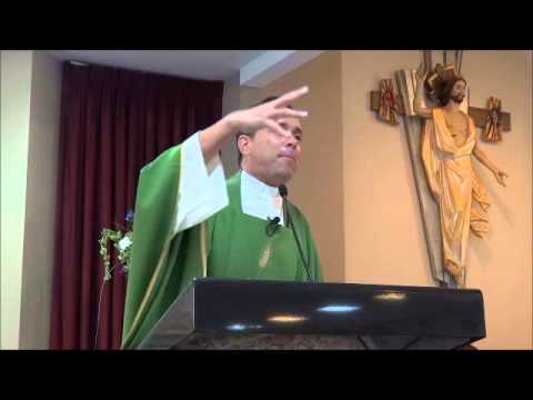 Evangelio y Homilia Domingo 11 de Noviembre 2012