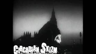 Circadian Skizm LIVE - 11.24.2010 @ Oxygen