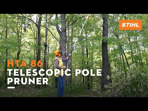Stihl HTA 86 w/o Battery & Charger in Elma, New York - Video 1