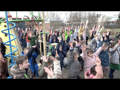 Kinderen voor Kinderen - Dierenfreak LIVE | dansvideo De Lettertuin [dierenproject 2023]