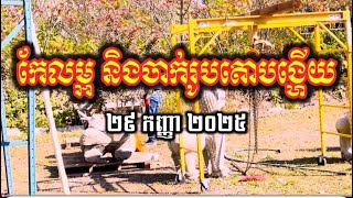 (11) កែលម្អ និងចាក់រូបតោបង្ហើយ | វត្តពោធិការាម | Bodhikaram Temple